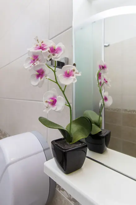 Ferienwohnung in Sibenik mit Pool 999203496 31741 – Foto 21