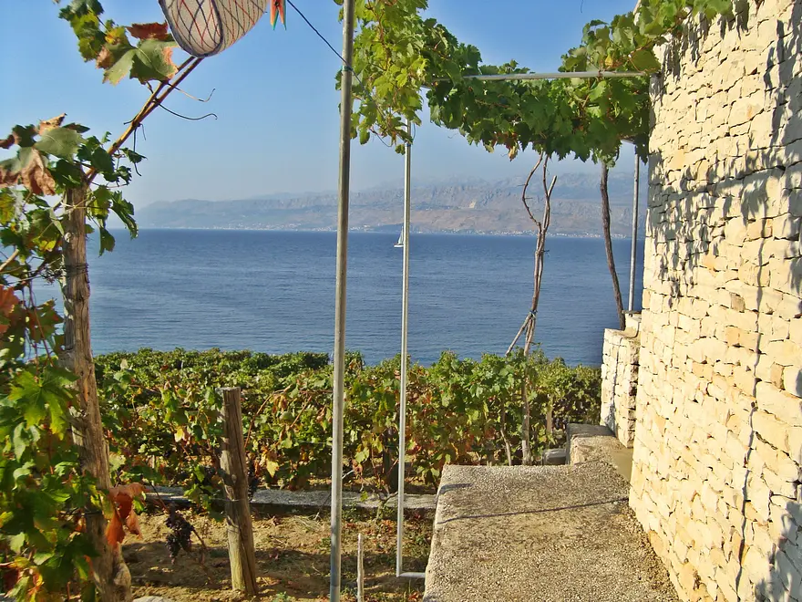 Ferienwohnung in Brac haustiergeeignet 999202903 31172 – Foto 11