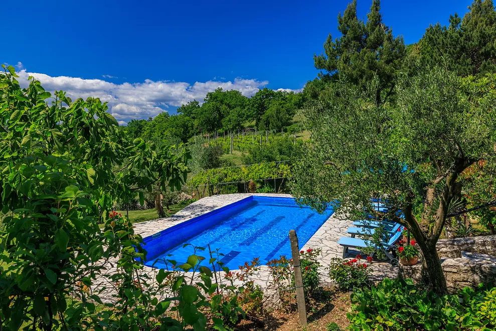 Ferienwohnung in Krsan mit Pool 999204998 33170 – Foto 32