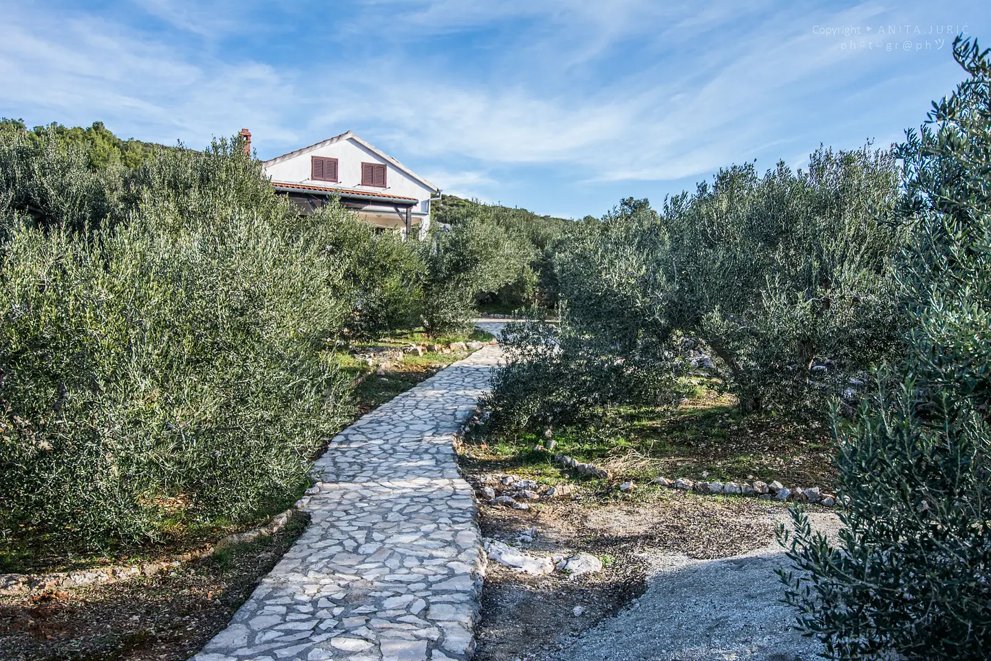 Ferienwohnung in Pasman haustiergeeignet 999202642 30918