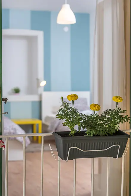 Ferienwohnung in Ciovo  999209051 36990 – Foto 34