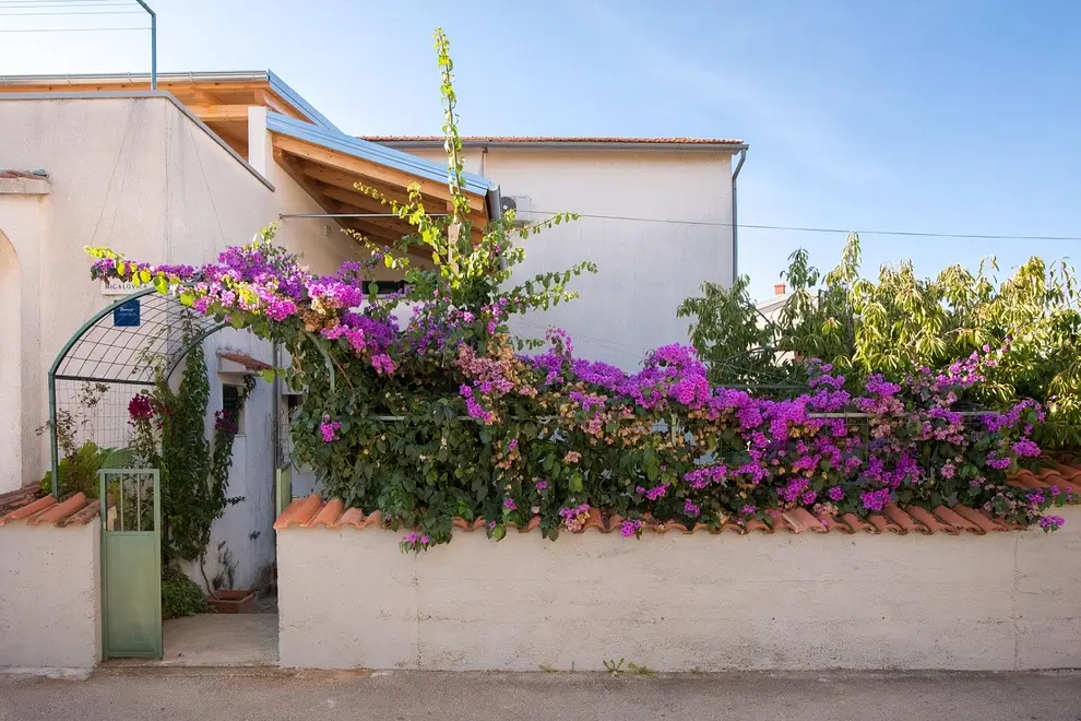 Ferienwohnung in Vodice  999202357 30664 – Foto 5
