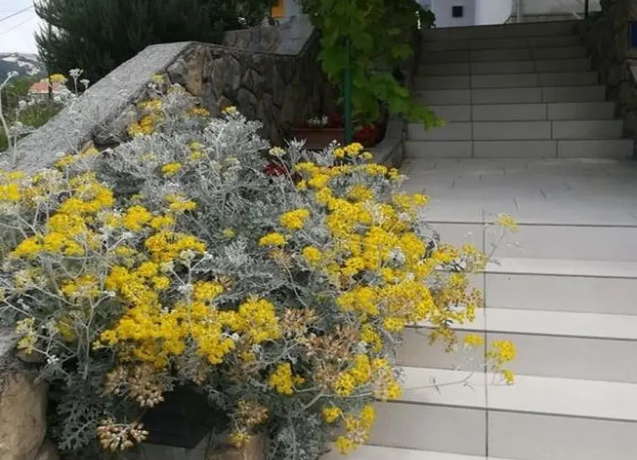 Ferienwohnung in Banjol  66152483 26354