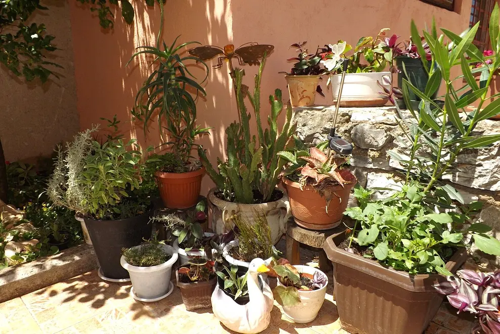 Ferienwohnung in Umag  999208109 36086 – Foto 23
