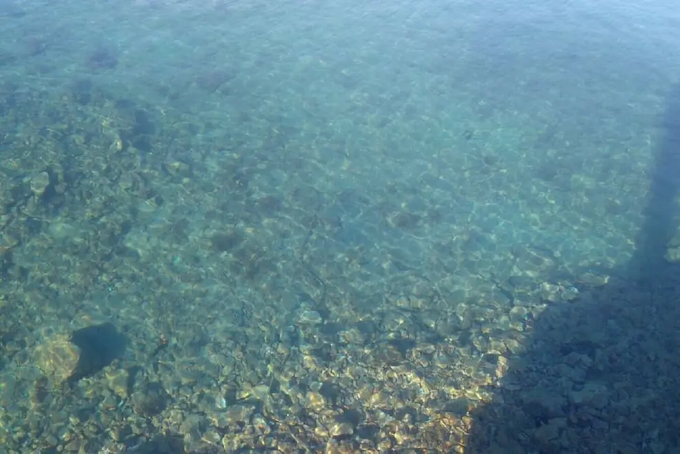 Ferienwohnung in Dugi Otok haustiergeeignet 999206950 35033 – Foto 6