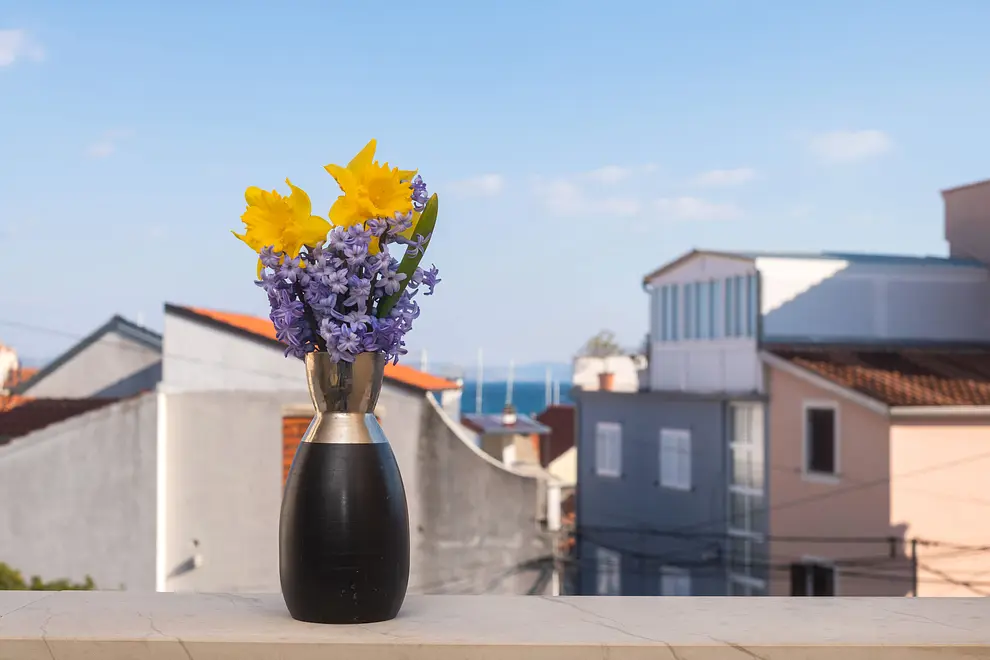 Ferienwohnung in Vodice haustiergeeignet 66117812 6387