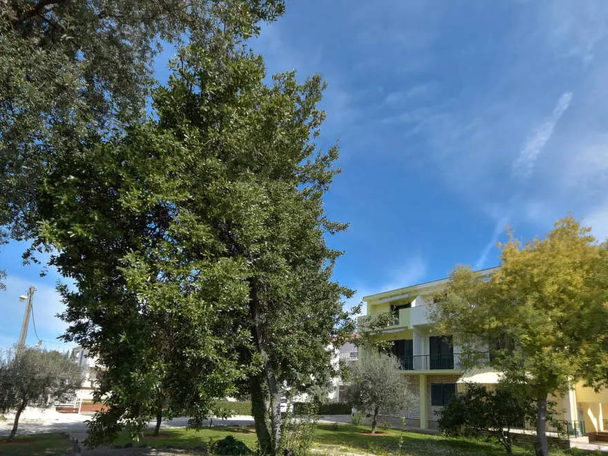 Ferienwohnung in Zadar  999203435 31684 – Foto 15
