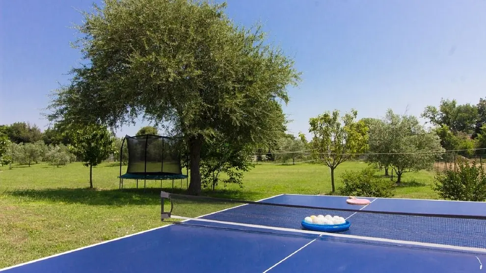 Ferienwohnung in Liznjan mit Pool und haustiergeeignet 999210818 38658 – Foto 20