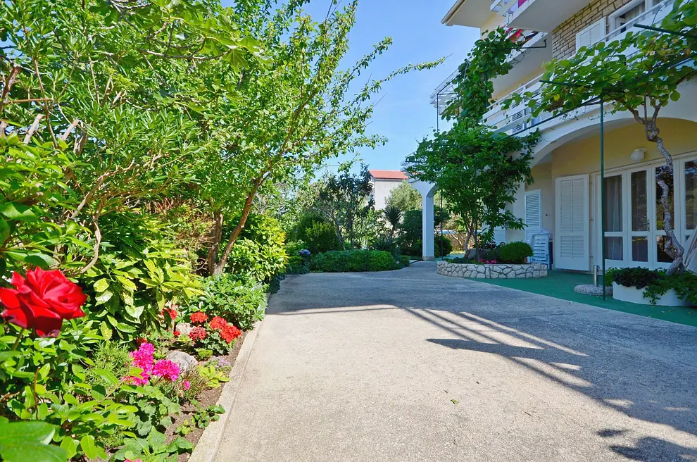 Ferienwohnung in Novalja  999202450 30737 – Foto 20