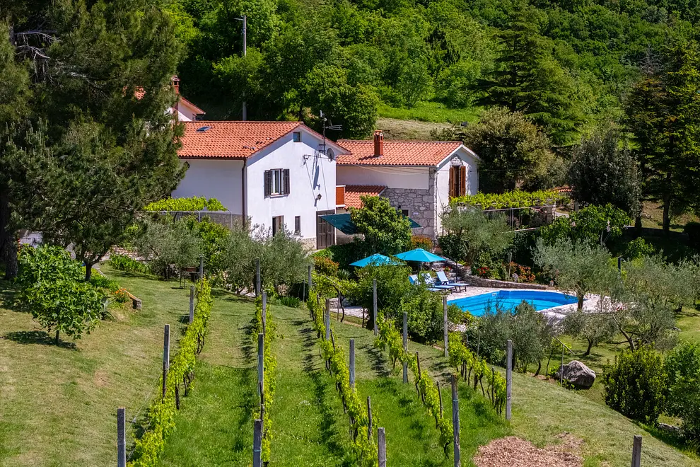 Ferienappartment in Krsan mit Pool 66122842 10234