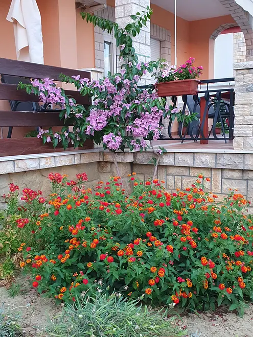 Ferienwohnung in Palit  999227615 42518 – Foto 19