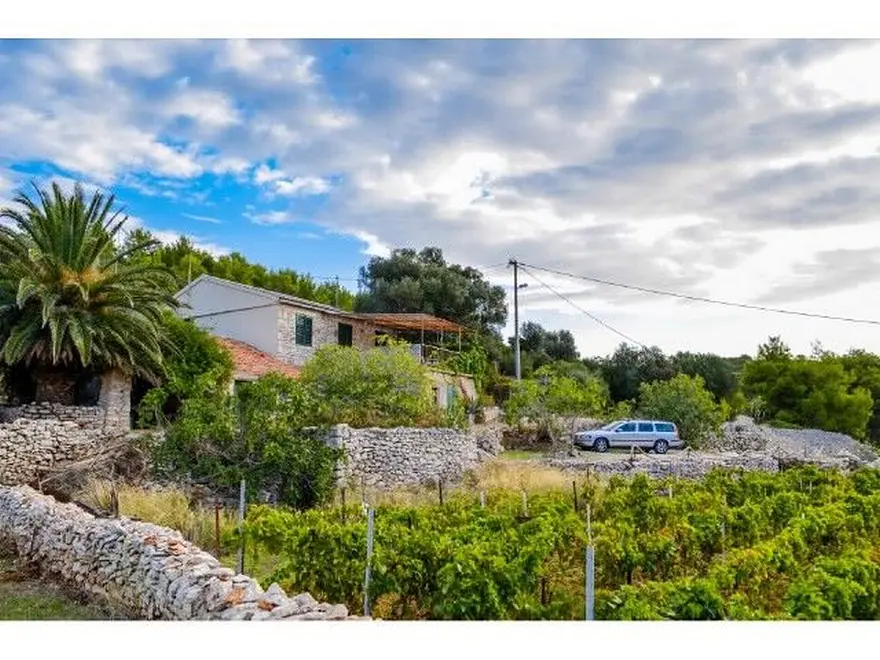 Ferienwohnung in Vis haustiergeeignet 66120317 8351