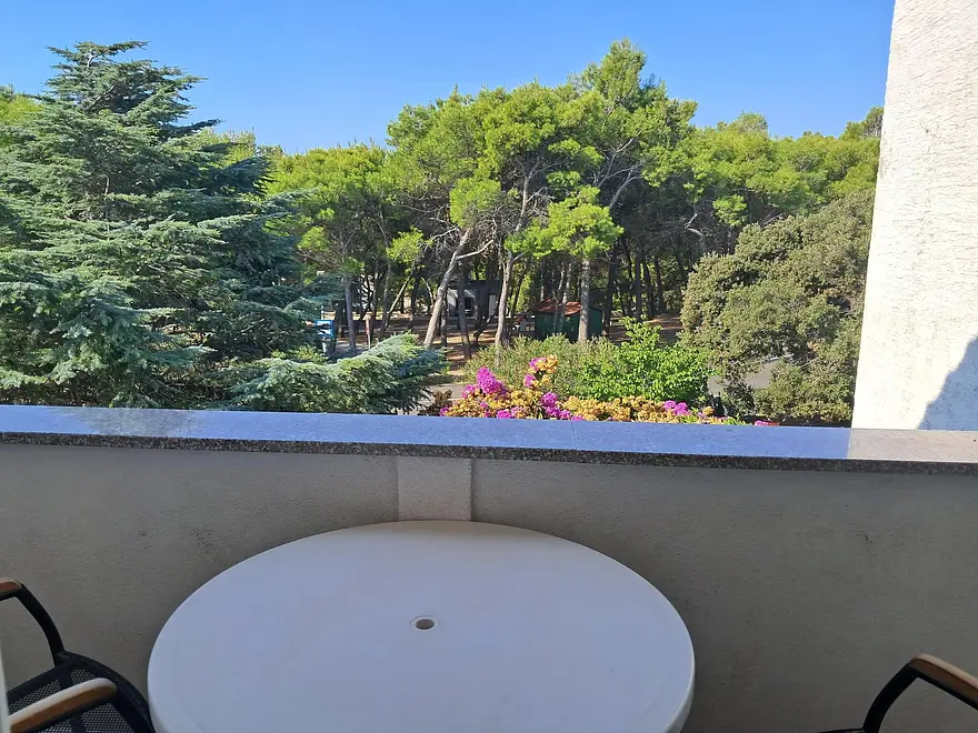 Ferienwohnung in Mandre  999211911 41312 – Foto 4