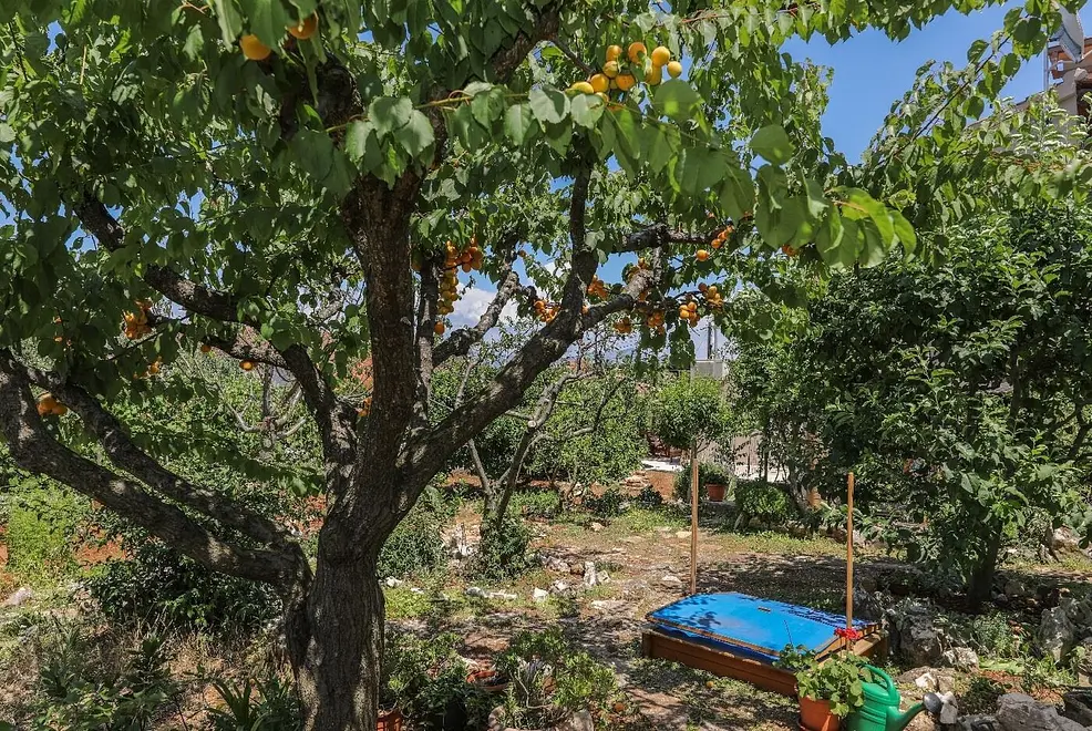 Ferienwohnung in Brac  999210882 38714 – Foto 20