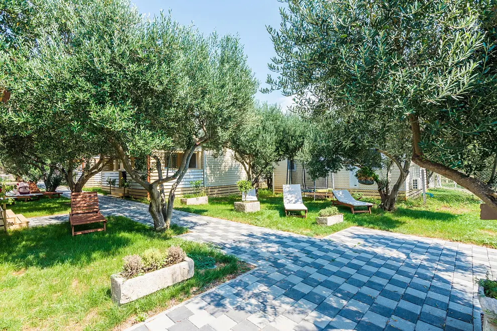 Ferienwohnung in Biograd haustiergeeignet 999206357 34462 – Foto 19