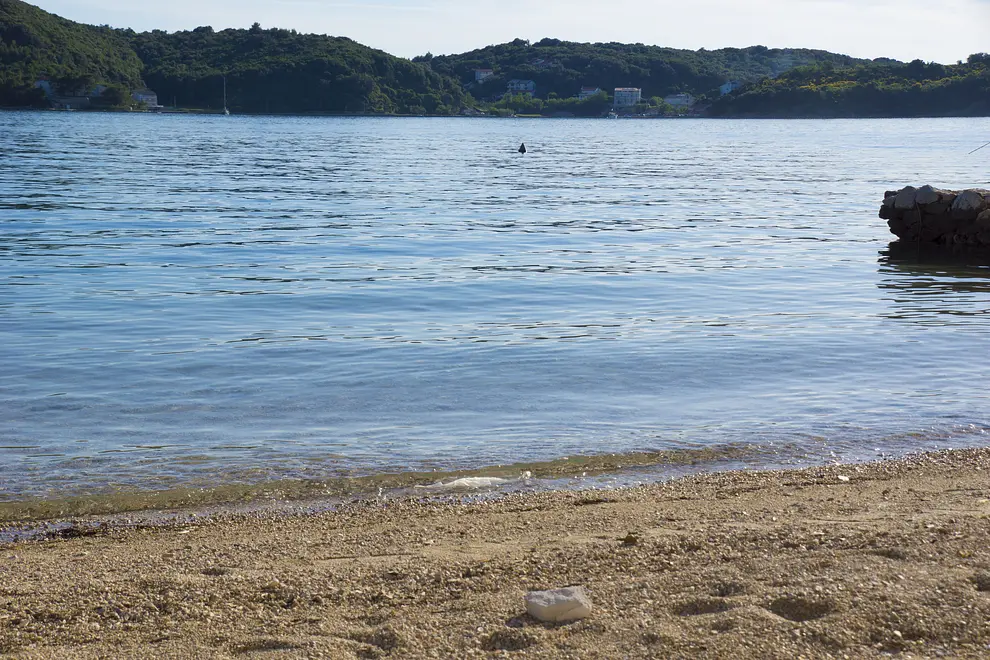 Ferienwohnung in Rab haustiergeeignet 66159964 29834