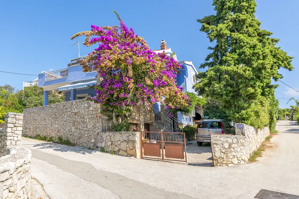 Ferienwohnung in Solta haustiergeeignet 66131786 17076