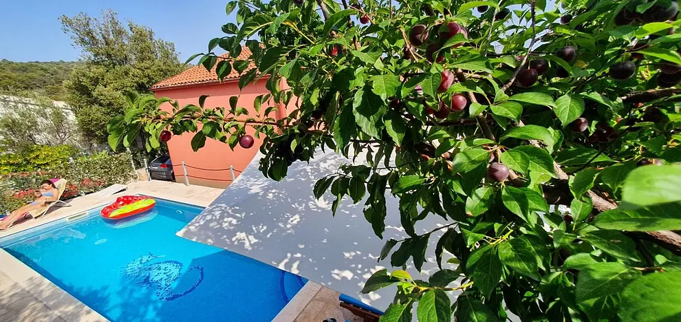 Ferienhaus in Solta mit Pool und haustiergeeignet 999209463 37386