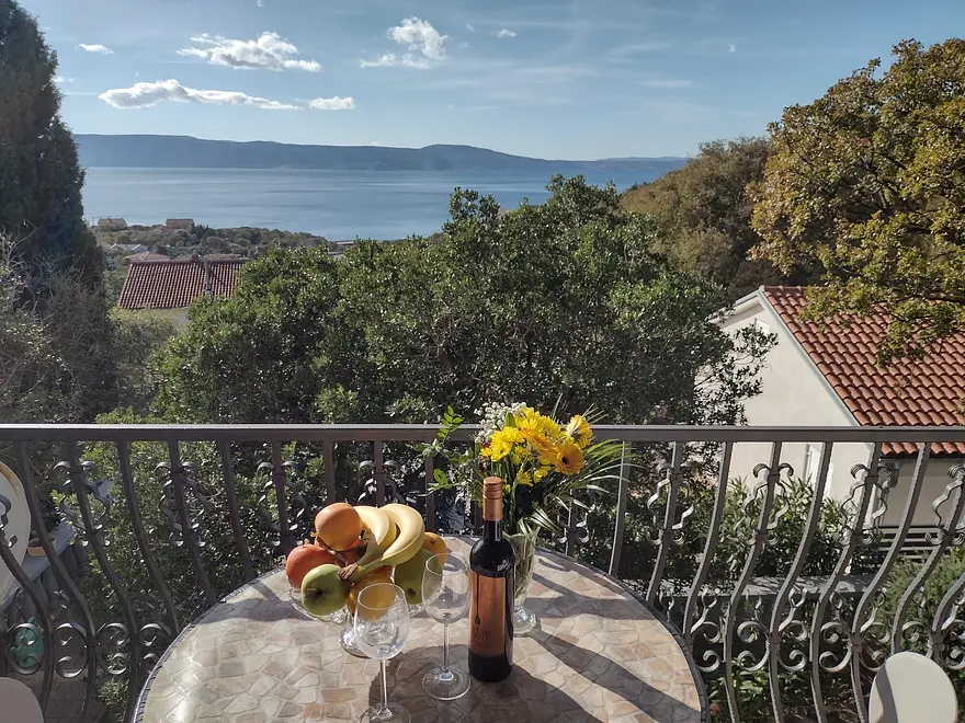 Ferienwohnung in Novi Vinodolski haustiergeeignet 66157238 28881