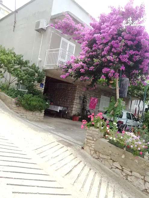 Ferienwohnung in Primosten haustiergeeignet 66137312 20600