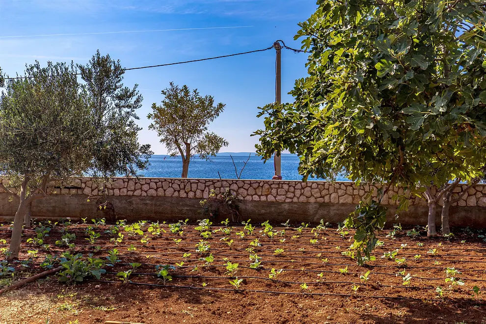 Ferienwohnung in Pag  999203126 31383