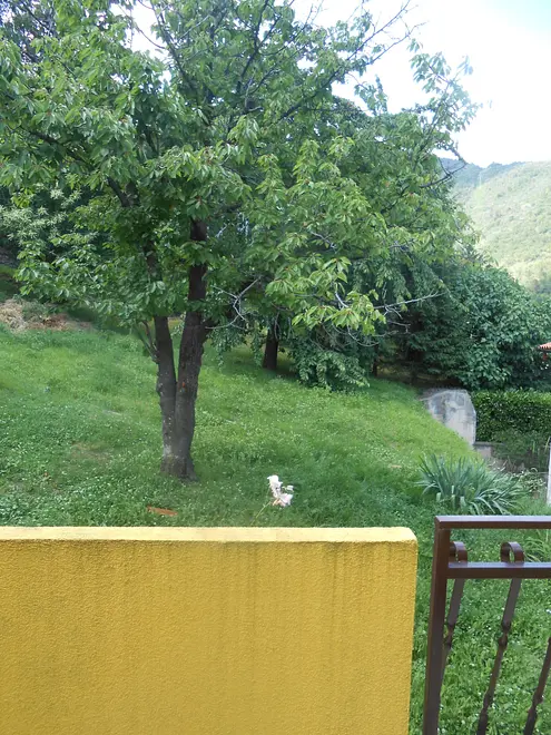 Ferienwohnung in Opatija haustiergeeignet 999206507 34608 – Foto 20