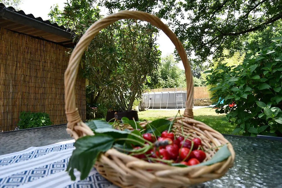 Ferienwohnung in Zminj mit Pool 999208359 36330 – Foto 4