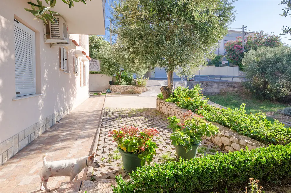 Ferienwohnung in Banjol haustiergeeignet 66121634 9416