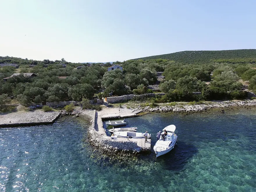 Ferienwohnung in Pasman haustiergeeignet 6611304 331