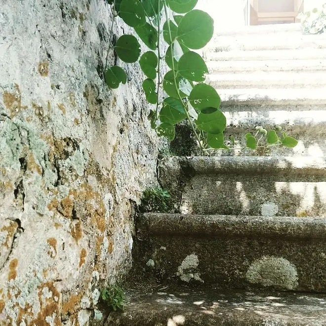 Ferienappartment in Korcula haustiergeeignet 999203920 32144