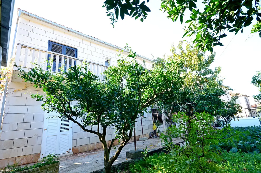 Ferienwohnung in Brac haustiergeeignet 999202724 30998 – Foto 4