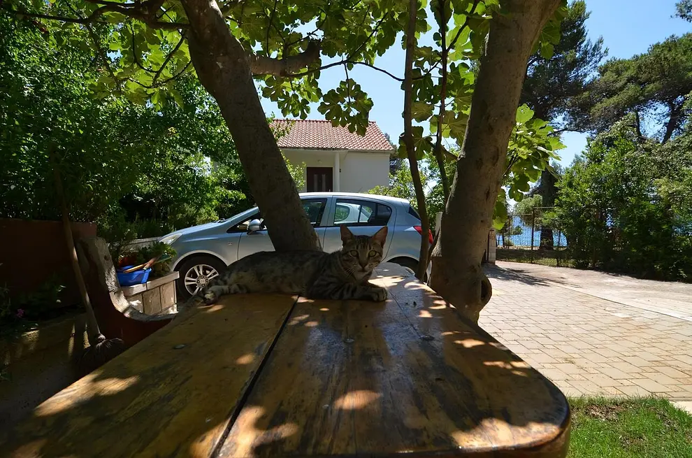 Ferienwohnung in Zadar  999209542 37463 – Foto 10