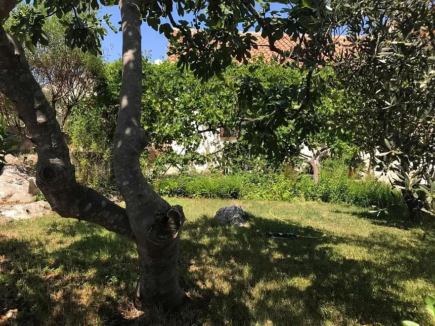 Ferienwohnung in Preko  999227350 42455 – Foto 16