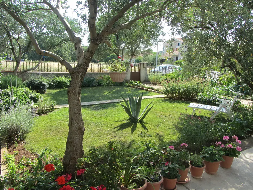 Ferienwohnung in Biograd  999206270 34379 – Foto 15