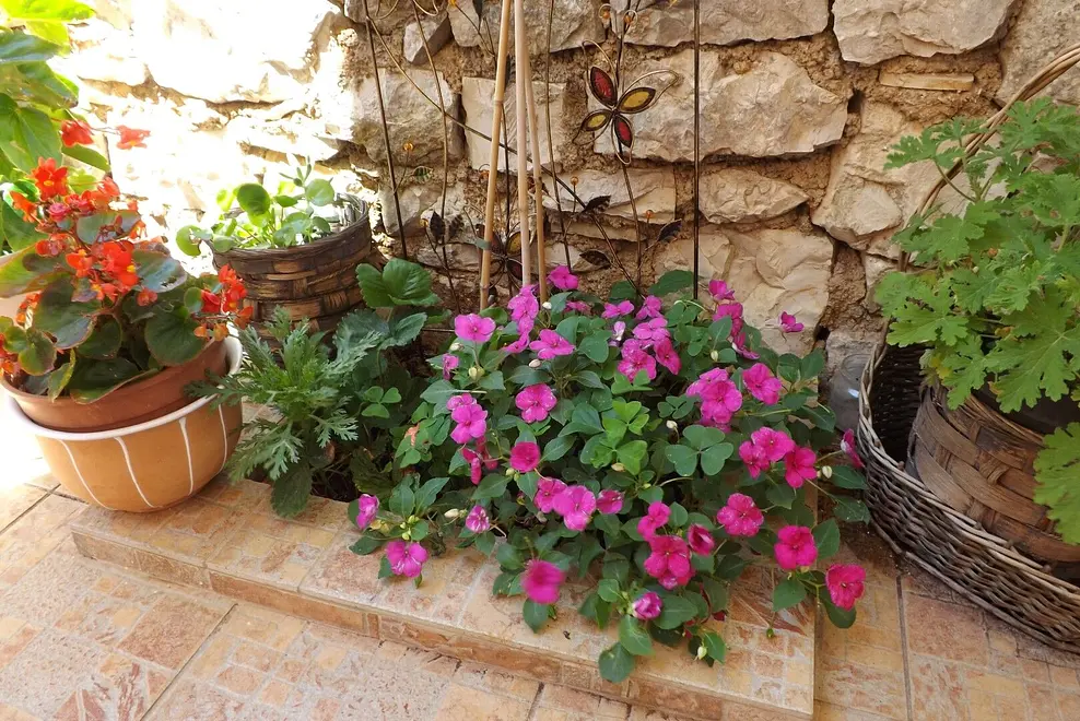 Ferienwohnung in Umag  999208109 36086 – Foto 10