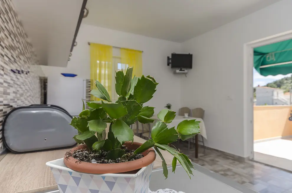 Ferienwohnung in Tribunj haustiergeeignet 999205058 33226 – Foto 17