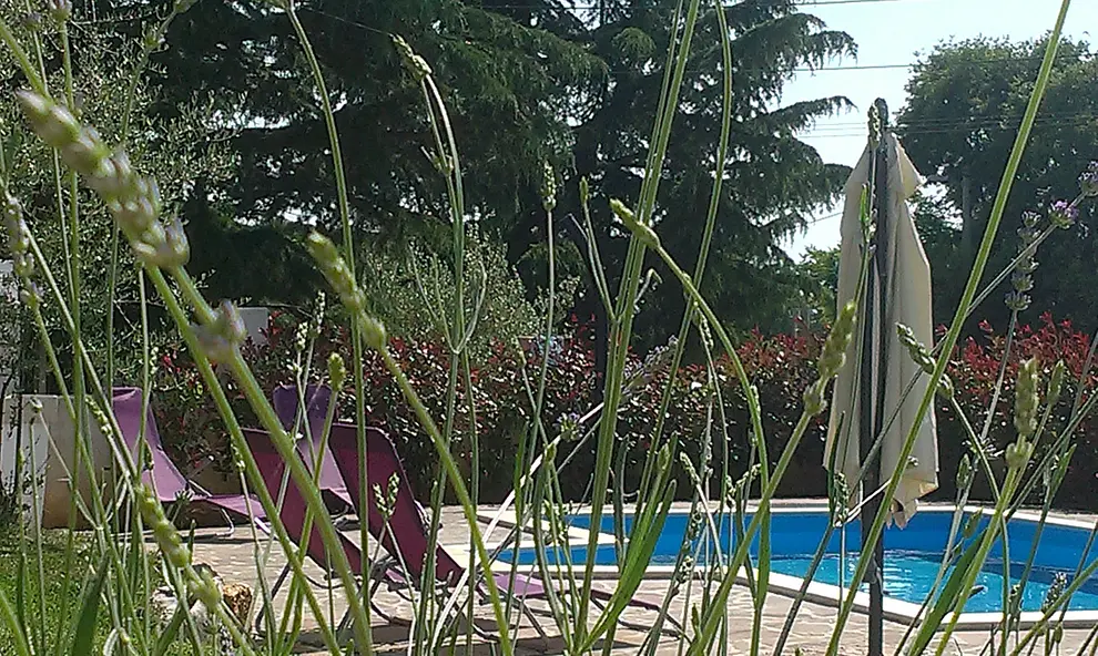 Ferienhaus in Porec mit Pool 999205976 34099 – Foto 27