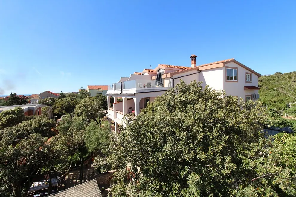 Ferienwohnung in Mandre haustiergeeignet 66153432 27101