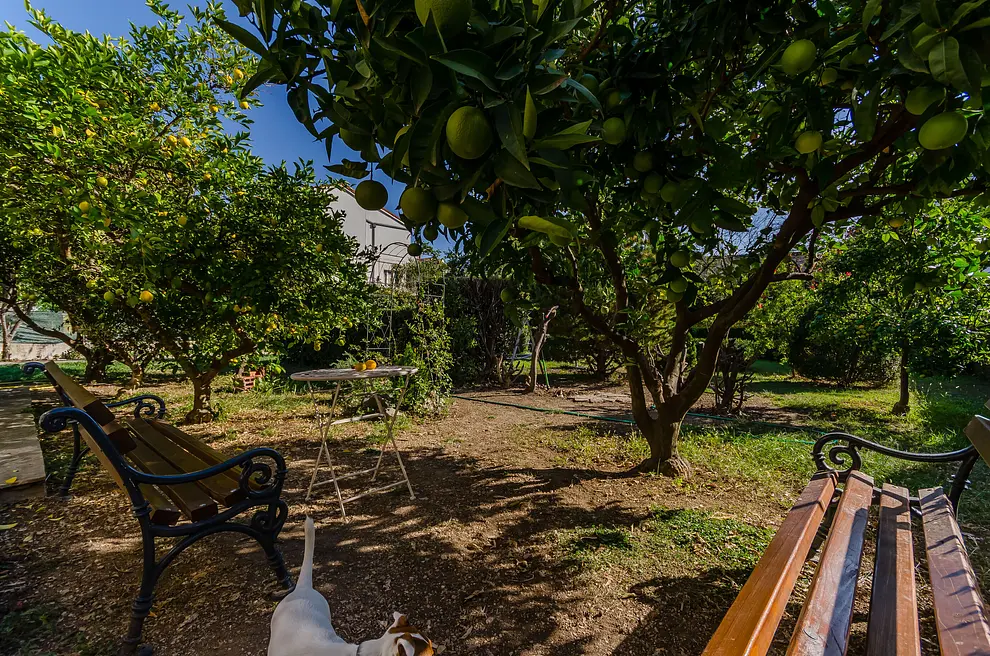 Ferienwohnung in Kastela  999208897 36843 – Foto 6