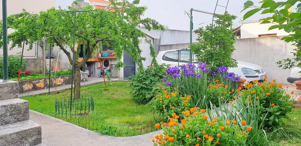 Ferienwohnung in Bibinje  999203064 31323 – Foto 40