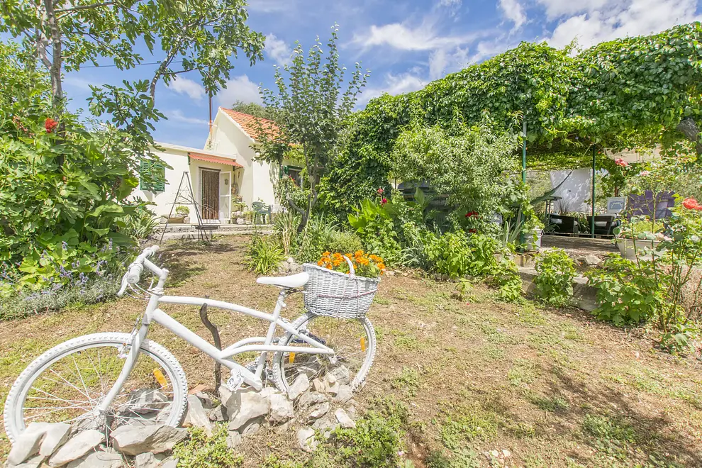 Ferienwohnung in Sibenik haustiergeeignet 66130963 16442