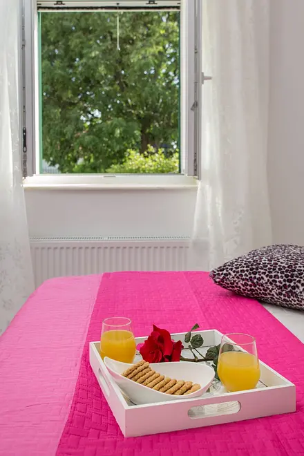 Ferienhaus in Drnis mit Pool 999209386 37312 – Foto 23