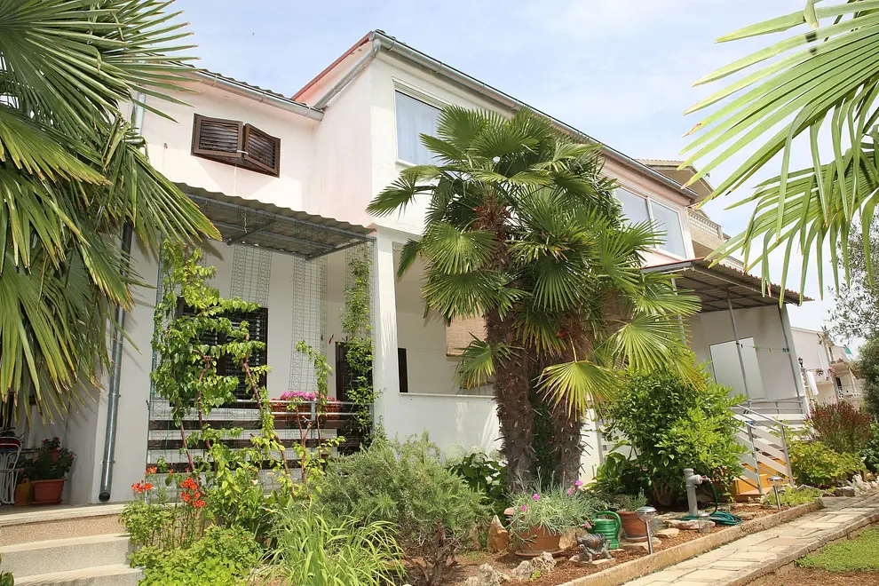 Ferienwohnung in Vodice haustiergeeignet 66151721 25782