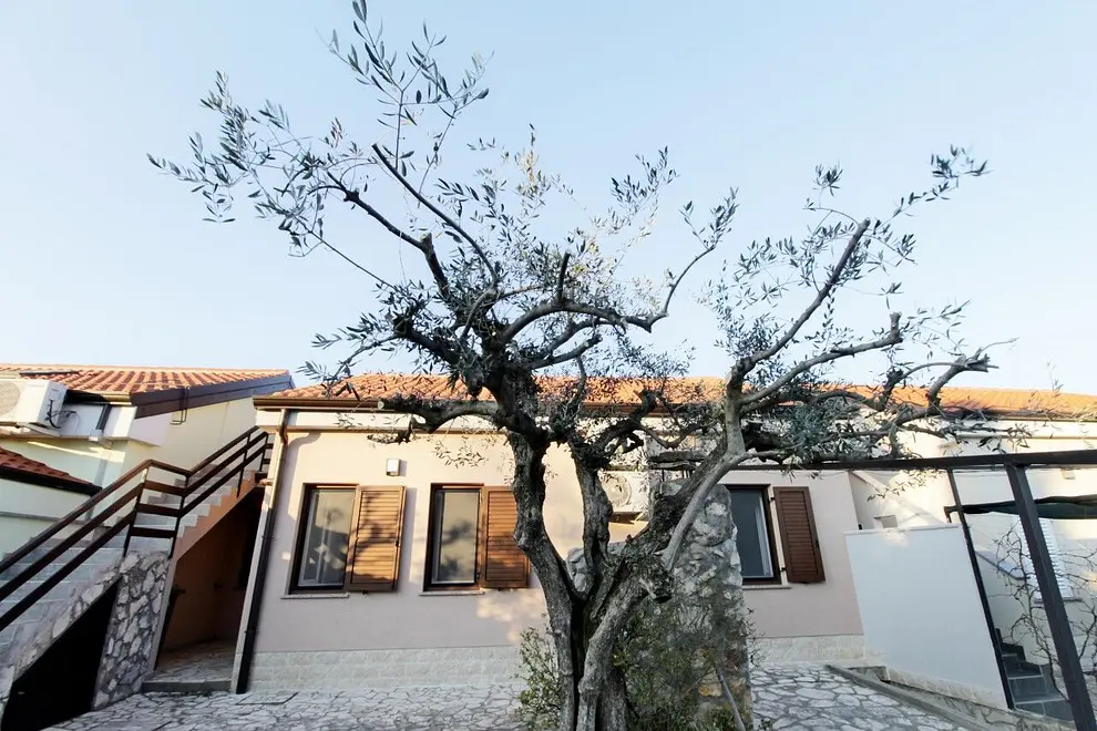 Ferienwohnung in Umag  66135530 19488