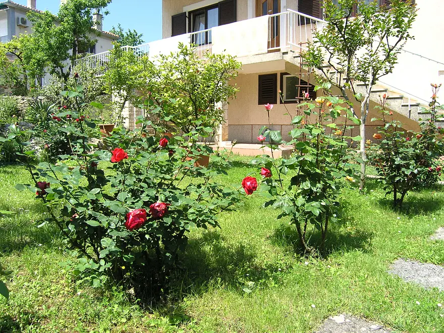 Ferienwohnung in Krk  999203484 31729 – Foto 15