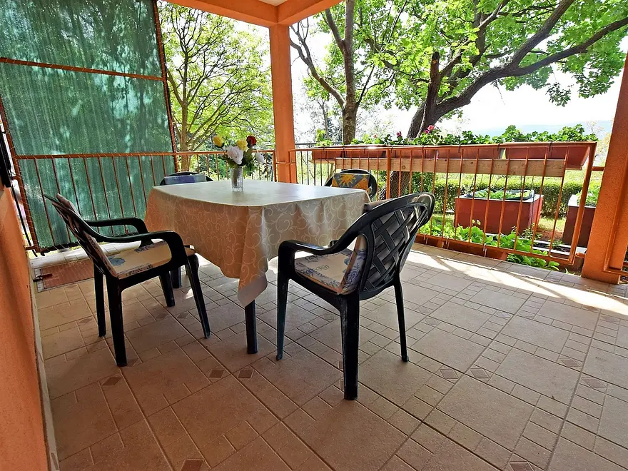 Ferienwohnung in Starigrad haustiergeeignet 66131388 16775