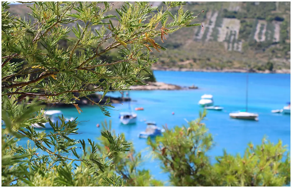 Ferienwohnung in Primosten  66110304 3481