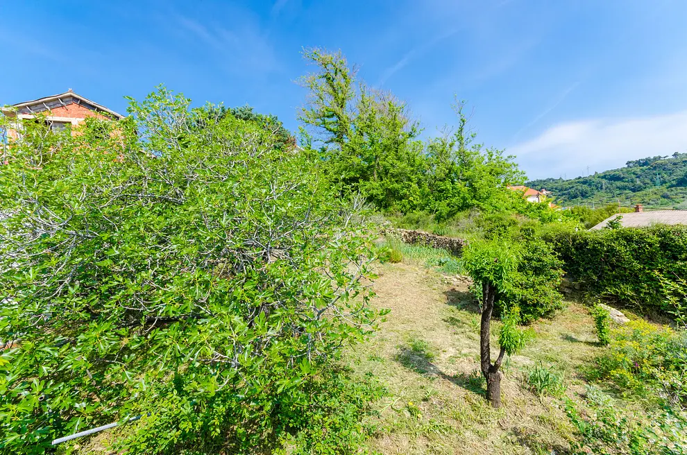 Ferienwohnung in Palit  999208840 36787 – Foto 24