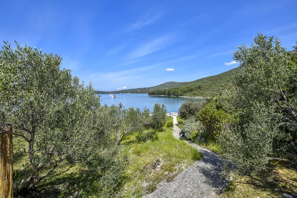 Ferienwohnung in Pasman  999203072 31331