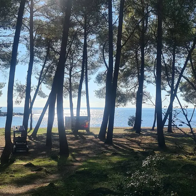 Ferienwohnung in Rovinj  999211785 39523 – Foto 27
